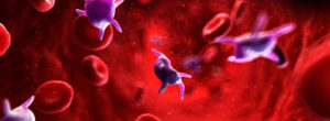 A photograph showing blood cells.